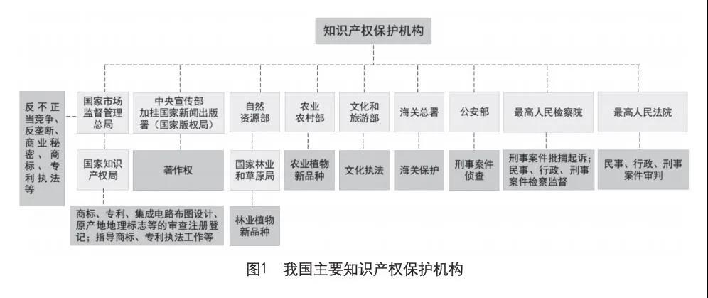 知识产权?；せ?jpg